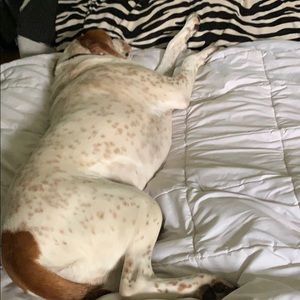 Meet your Posher, Kathleen